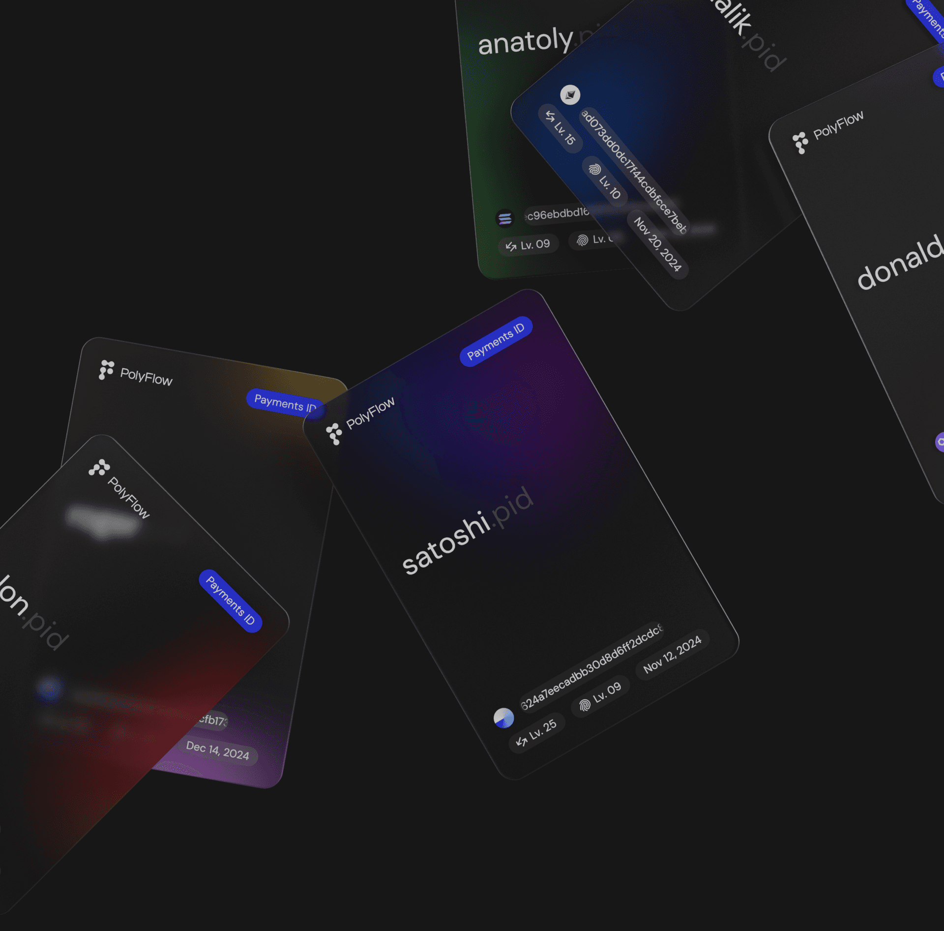 Payment IDs Payment IDs